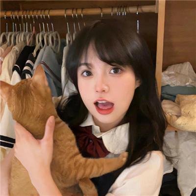 旺角藏龙